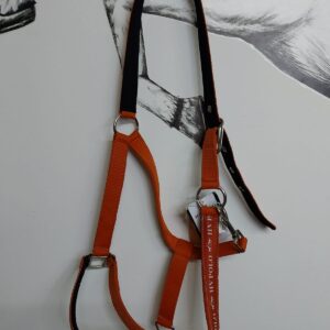 Kantar  Hv Polo